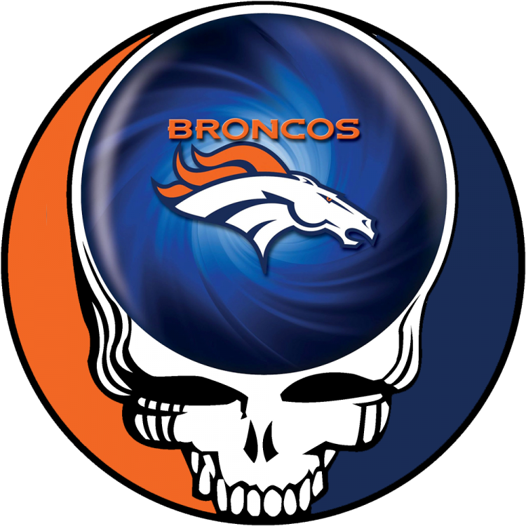 Denver Broncos skull logo iron on transfers...